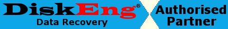DiskEng Authorised Partner Logo Blue
