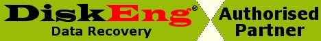 DiskEng Authorised Partner Logo Green